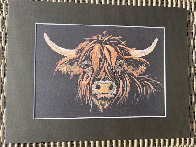 Highland Coo Face Print